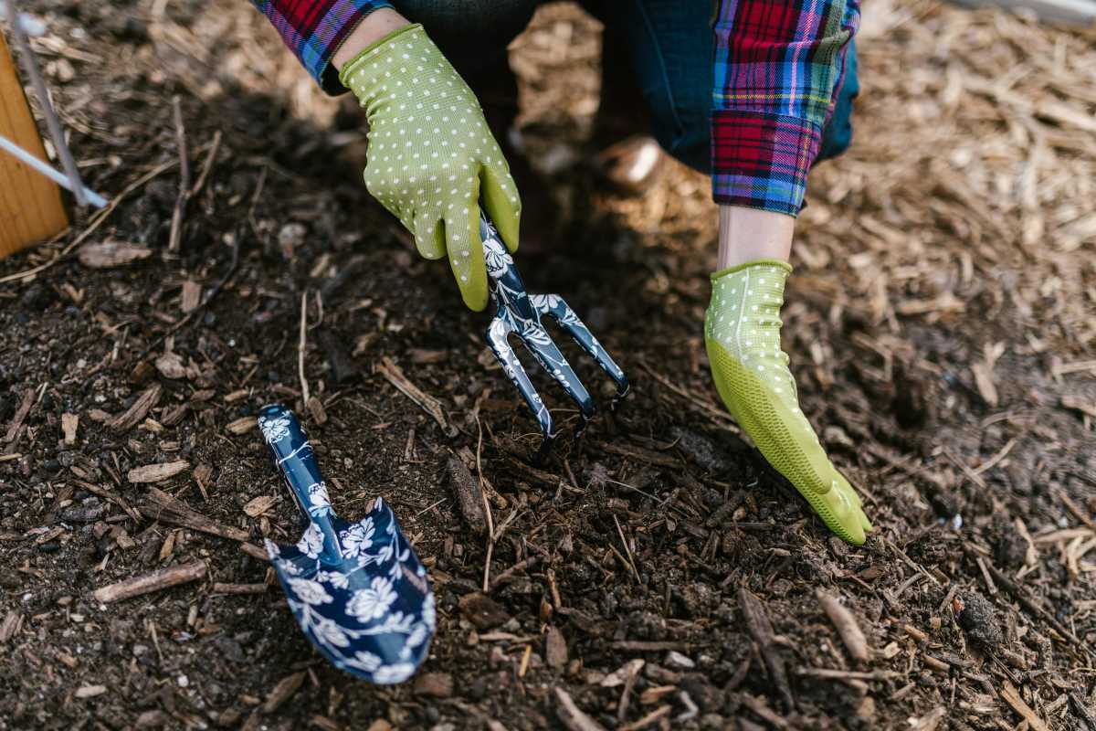 Why Tree-Planting Days Are So Impactful